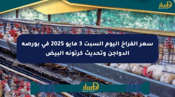 سعر الفراخ اليوم السبت 3 مايو 2025 في بورصة الدواجن وتحديث كرتونة البيض